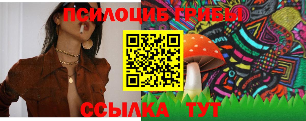 Галлюциногенные грибы Psilocybe Надым
